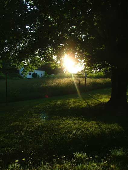 last rays of light