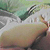sleep